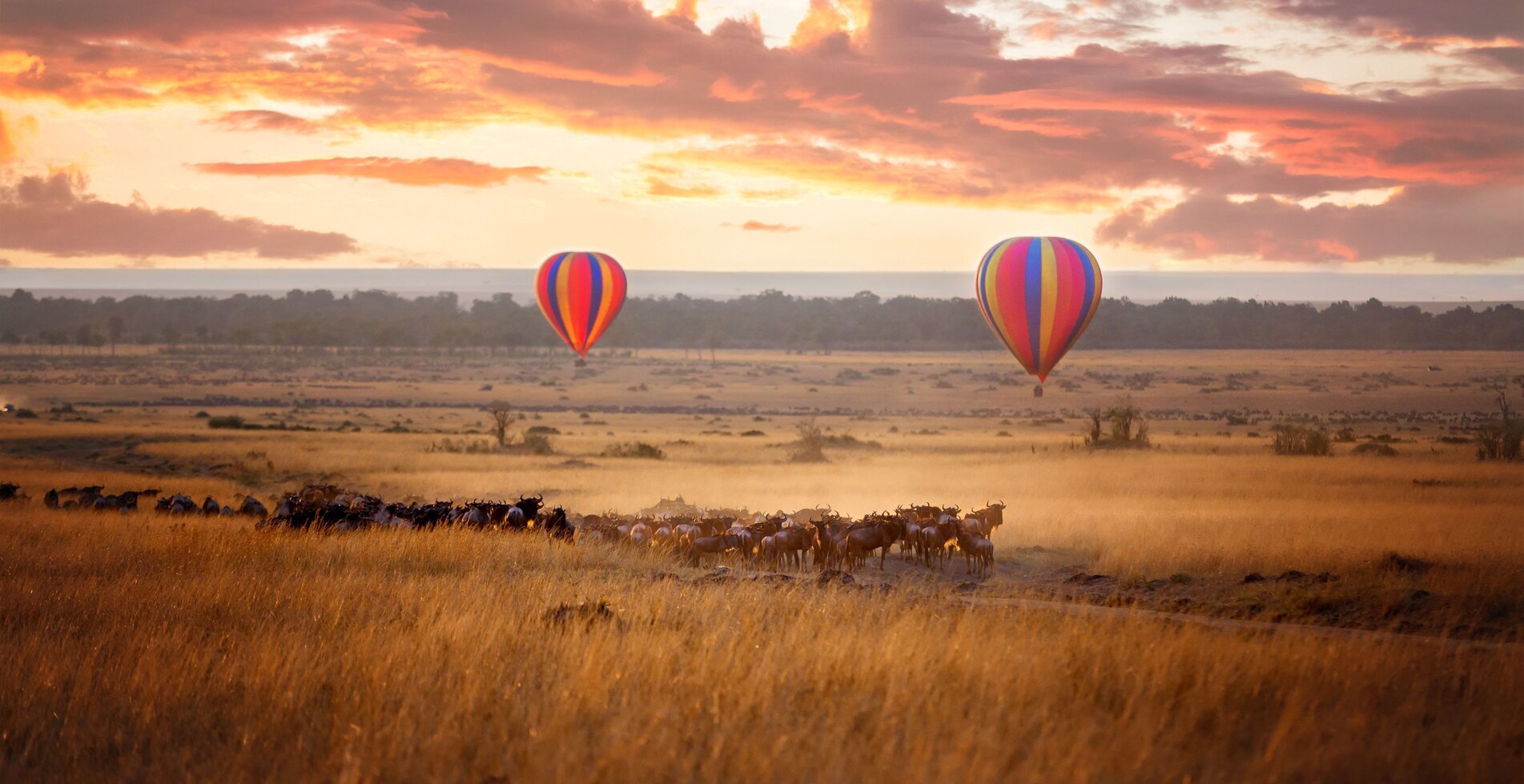 Serengeti National Parks